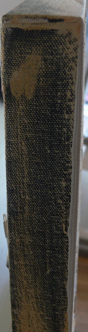 Dario Bosa - Free rusty Spirit kopen? Bied vanaf 65!