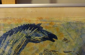 Jan Bezemer - Zebra's kopen? Bied vanaf 45!