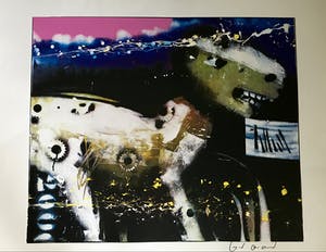 Herman Brood - Nightride - Nr. 28 van 175 - handgesigneerd kopen? Bied vanaf 325!