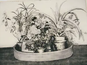 Jose Calsina - Grafiek - Bloemstilleven kopen? Bied vanaf 20!