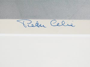 Pieter Celie - Figuur in keuken kopen? Bied vanaf 1!