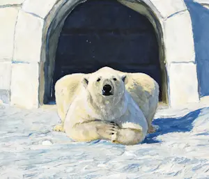 Mr Strange - The Guard Bear kopen? Bied vanaf 80!