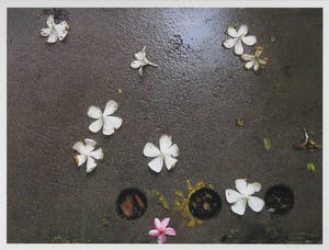 Mark Verdoes - Gemengde techniek op papier, Fallen Angels - Ingelijst kopen? Bied vanaf 1!