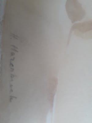 Hans Hazenbroek - Aqurel met aan beide kanten afbeelding kopen? Bied vanaf 75!