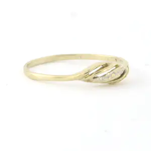 Bicolour BWG (333) ring - ringmaat 17 (53) kopen? Bied vanaf 40!