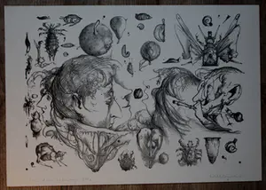 Dirkje Kuik - Litho: Winkelmans plantage kopen? Bied vanaf 60!