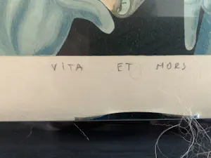 Guillaume Liat - Vita et mors kopen? Bied vanaf 100!