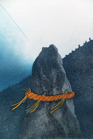 Sjoerd Bakker - gekroonde bergtop kopen? Bied vanaf 45!