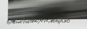 Teun Voeten - Foto, 42nd str. 5th Avenue 3/4 - Ingelijst kopen? Bied vanaf 40!