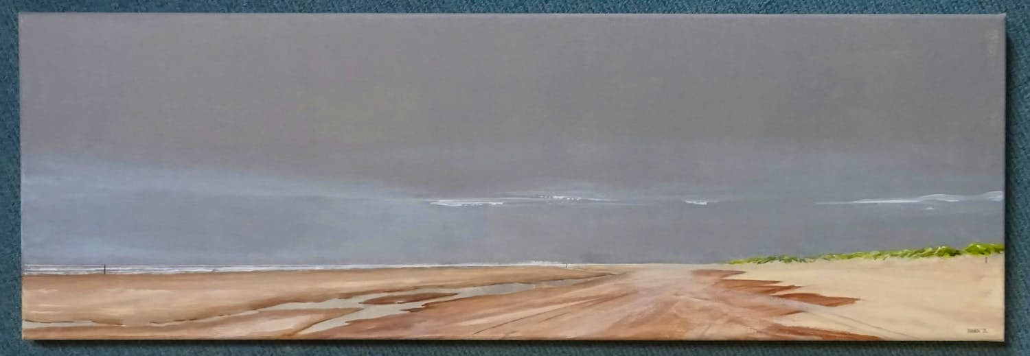 Franklin Meijer - Strand - Texel - Winter kopen? Bied vanaf 85!