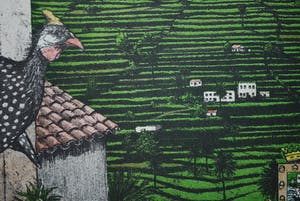 Rolf Weijburg - Gomera - kleurets oplage 45 kopen? Bied vanaf 150!