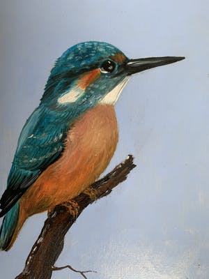 Henk Poeder - Ijsvogel kopen? Bied vanaf 89!