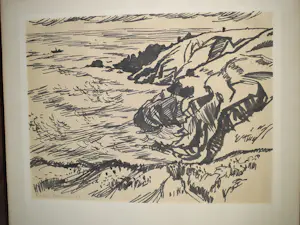 Randi Doorman - Rotseiland II kopen? Bied vanaf 20!