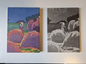 Jan Altink - Gottmer en Becht Haarlem in 1978 uitgegeven standaardwerk incl. stofhoes kopen? Bied vanaf 1!