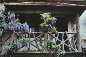 Paul Huf - Foto, Blauwe regen - Ingelijst kopen? Bied vanaf 1!