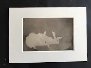 Jan Mankes - Heliogravure " Twee konijnen " kopen? Bied vanaf 1!