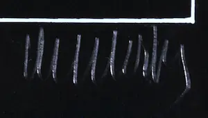 Mark Verstockt - Zeefdruk - Gesigneerd - 70x50 cm - 1976 kopen? Bied vanaf 90!