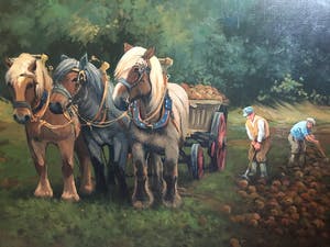 Hub Van Winkel - Bietenoogst in de Ardennen. kopen? Bied vanaf 100!