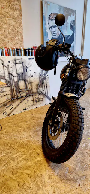 Bart Hamelink - Me and a cat kopen? Bied vanaf 1!