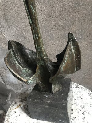 Rien Goene - Groei kopen? Bied vanaf 1450!