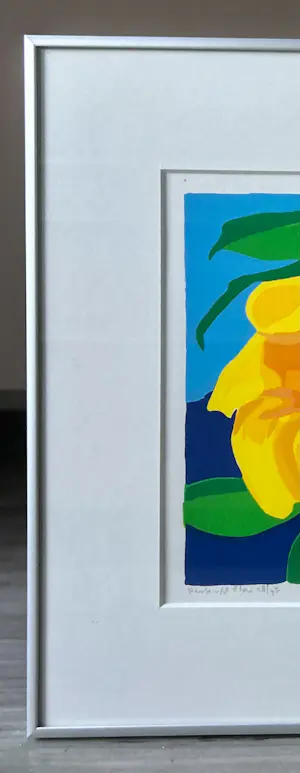 Henk van der Plas - Bali II kopen? Bied vanaf 55!