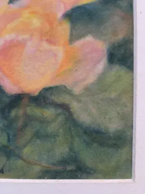 Ad Blok van der Velden - Rozen. Pastelkrijt. kopen? Bied vanaf 69!