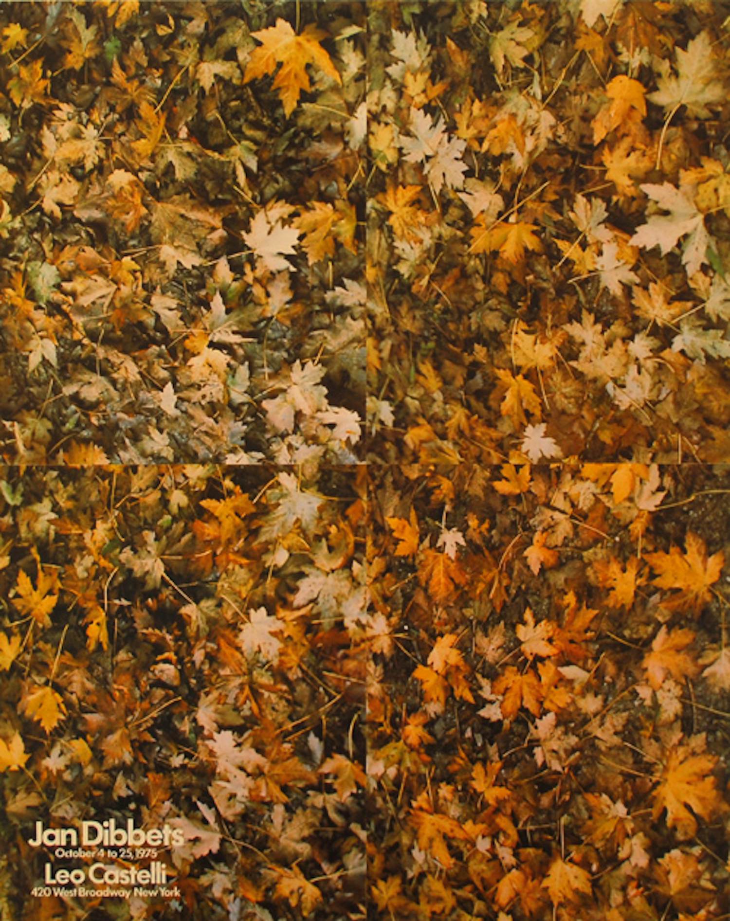 Jan Dibbets - Kleurenoffset-litho. Affiche LEO CASTELLI in 1975 (zeer zeldzaam) kopen? Bied vanaf 59!