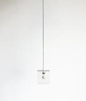 Ted Noten - Fly on cloudy pearl kopen? Bied vanaf 375!