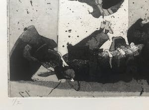 Jan Prins - Zeldzame ets - gesigneerd - 1/7 - 1990 kopen? Bied vanaf 25!