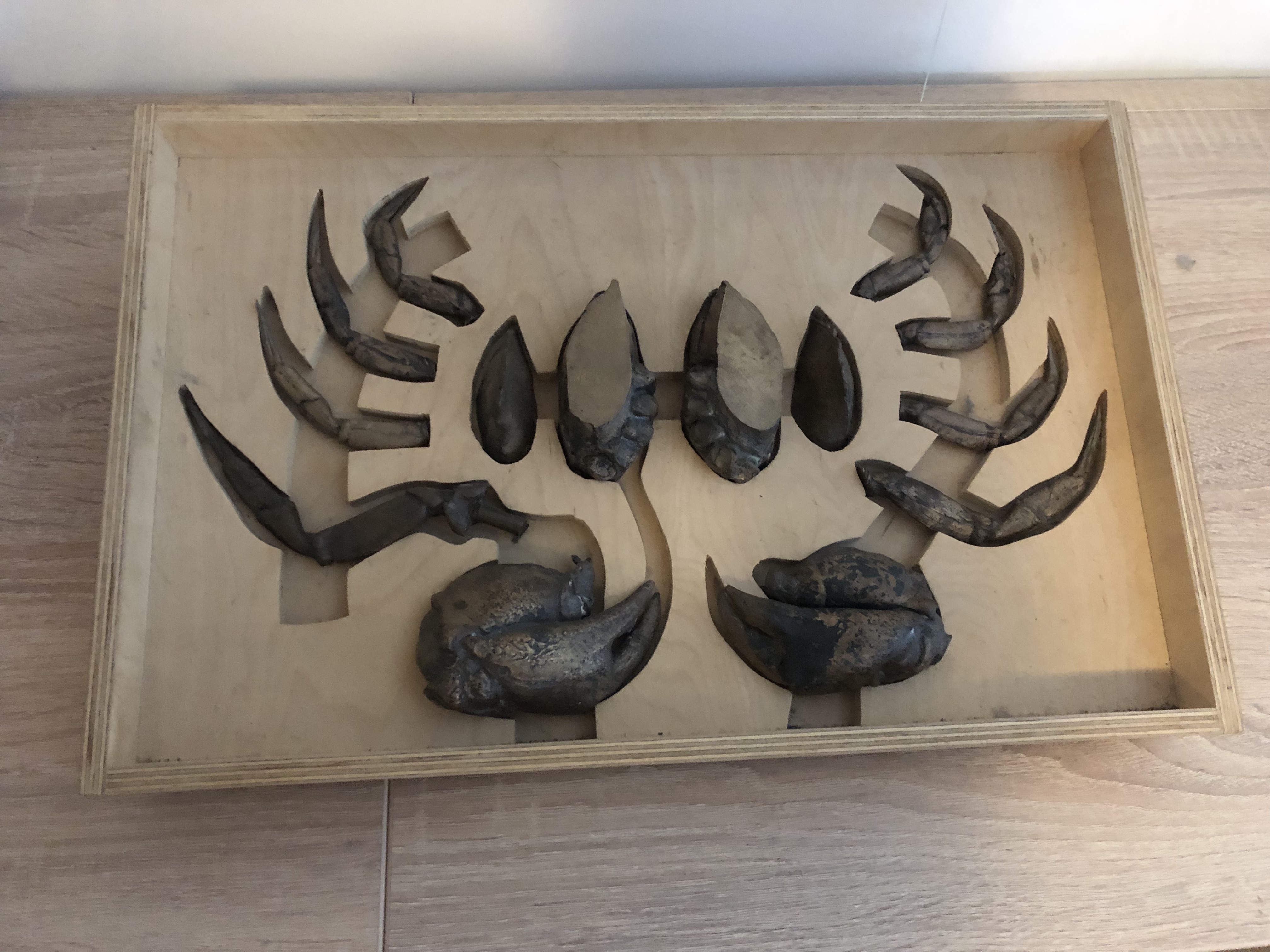 Krijn Giezen - Bestek voor het kraken en leegpeuteren van schaaldieren (8 personen), kaufen? Bieten Sie von 1250!