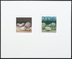 Marianne Stam - Mezzotint, Tweeluik met schelpen: Laat-krijt, heden kopen? Bied vanaf 20!