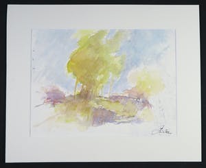 Franscz Witte - Aquarel, Landschap kopen? Bied vanaf 1!