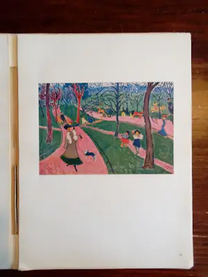 Henri Matisse - Die Fauves (Matisse en anderen) kopen? Bied vanaf 50!