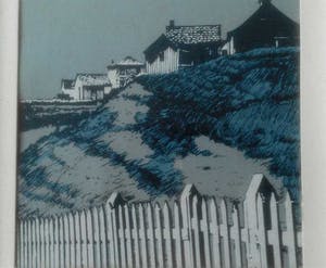 Leo Kools - Ierland duinenkust kopen? Bied vanaf 24!