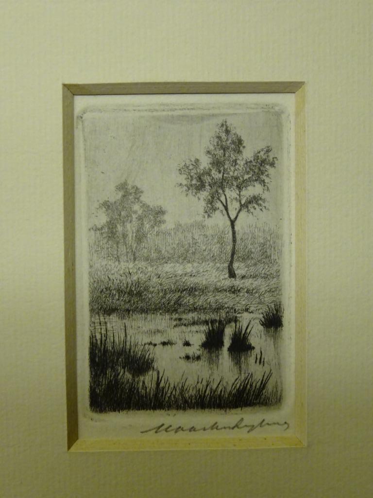 Maarten Langbroek - Boom aan een rivier kopen? Bied vanaf 1!