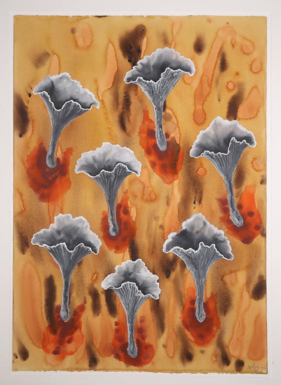 Mareike Geys - Mareike Geys: Aquarel, Brandplekcantharellen (Groot) kopen? Bied vanaf 35!