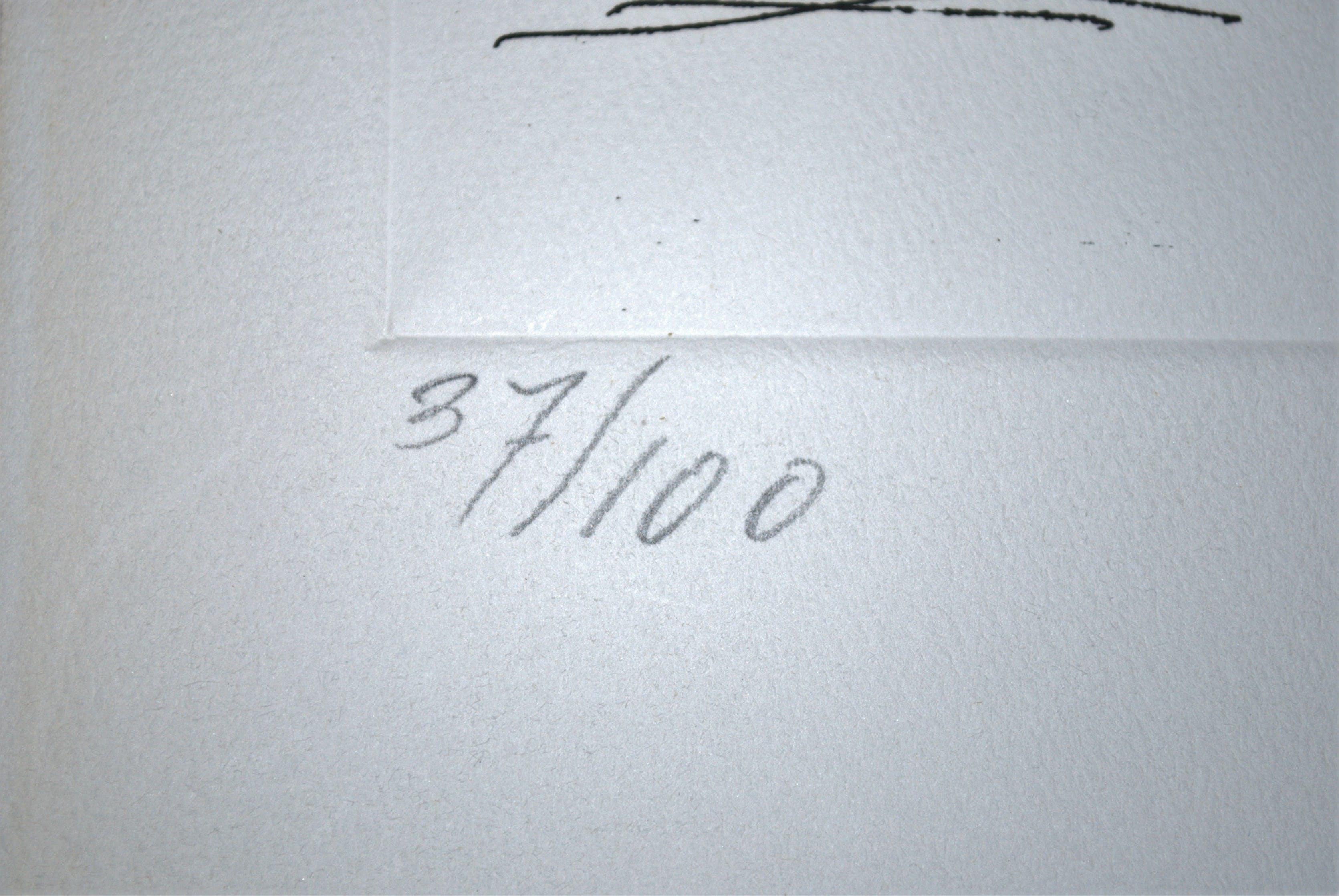 Jan Sierhuis - grote ets - ruiter  kopen? Bied vanaf 35!