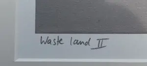 Hans Paus - Wasteland II kopen? Bied vanaf 30!