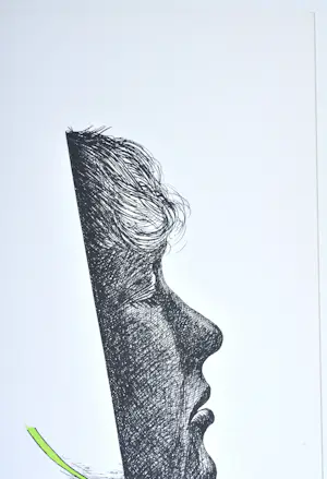 Paul Van Hoeydonck - Zeefdruk - Gesigneerd - 54x42 cm - 1977 kopen? Bied vanaf 125!