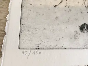 Johan Tahon - Taikonaut kopen? Bied vanaf 325!