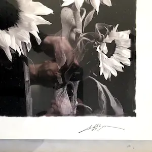 Niet of onleesbaar gesigneerd - Zonnebloemen - Fotografie, Ingelijst kopen? Bied vanaf 1!