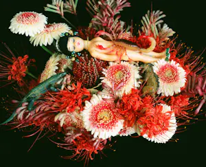 Nobuyoshi Araki - Monstrous Paradise (XL) Nr. 091 kaufen? Bieten Sie von 500!