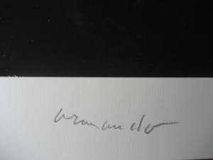 Armando - "Waldrand" - giclée - 2013 - artistenexemplaar kopen? Bied vanaf 175!
