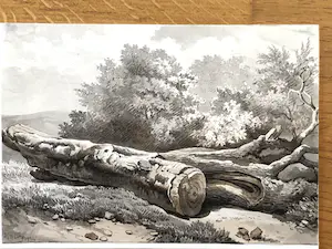 Harry Heijer - Gevelde boom, sepia kopen? Bied vanaf 60!