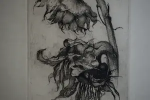 Dirk Baksteen - Ets - Zonnebloem kopen? Bied vanaf 100!