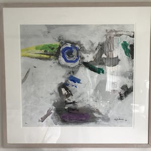 Nico Molenkamp - Vogel kopen? Bied vanaf 140!