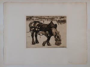 Pieter Dupont - Etenstijd kopen? Bied vanaf 120!