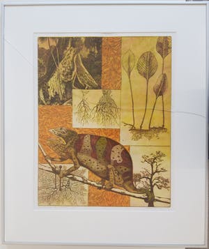 Annemarie Petri - Interieur van een rizoloog kopen? Bied vanaf 20!