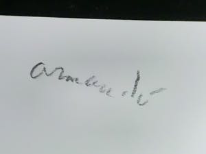 Armando - Waldrand! Giclee op katoenpapier. kopen? Bied vanaf 99!