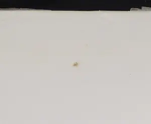 Maria de Ronde - Houtsnede op Japans papier, Compositie III kopen? Bied vanaf 1!